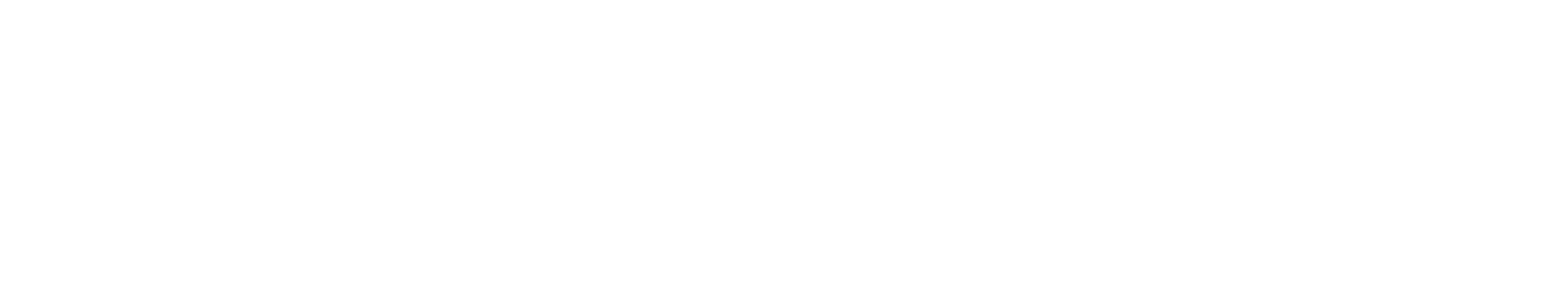 crm prosoft servizi